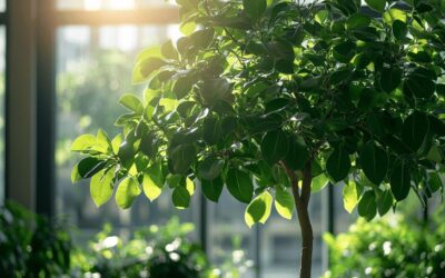 Biodiversité en entreprise : comment concilier performance économique et préservation de la nature
